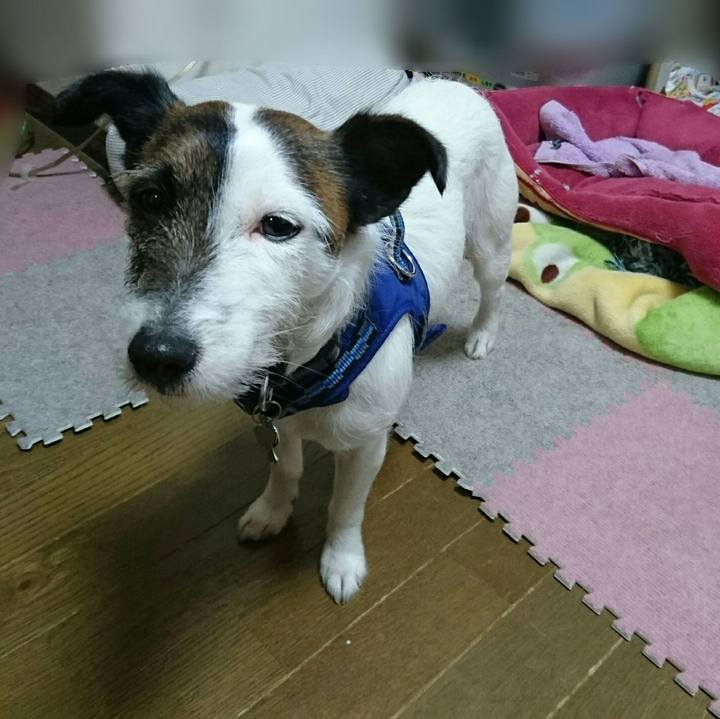 3210f765 d58e 45dc a43c d2bb05d7af97