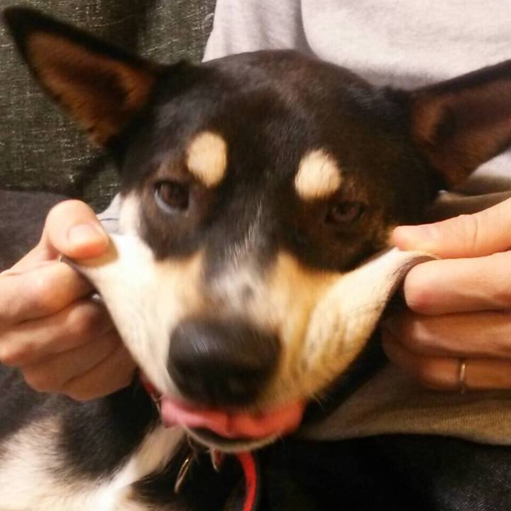 3211915d 2e18 4d64 b1c7 ac2297176adb