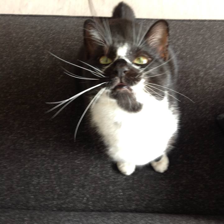 3211af8a a6e7 4803 88a6 fb4206953d83