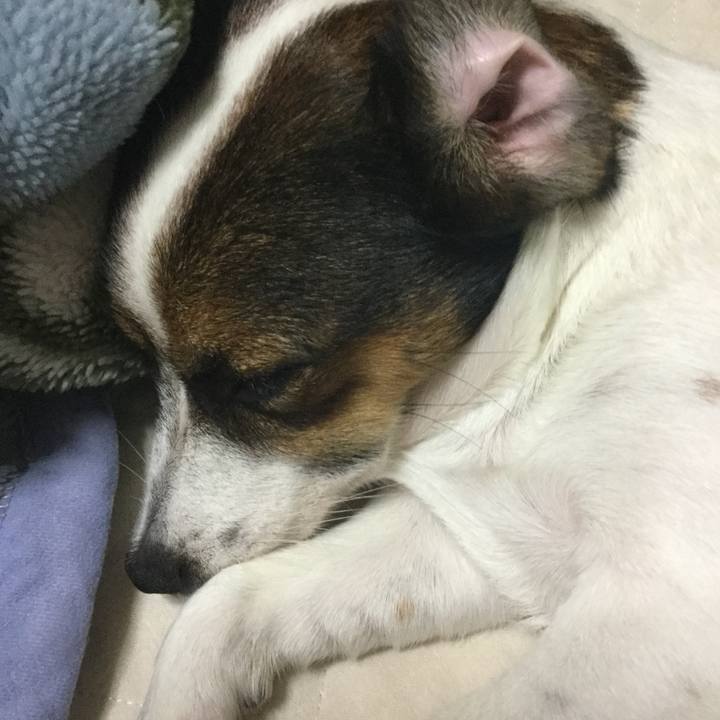 3211c7fd 4fc2 4c3d 99f1 e3b3d02414cd