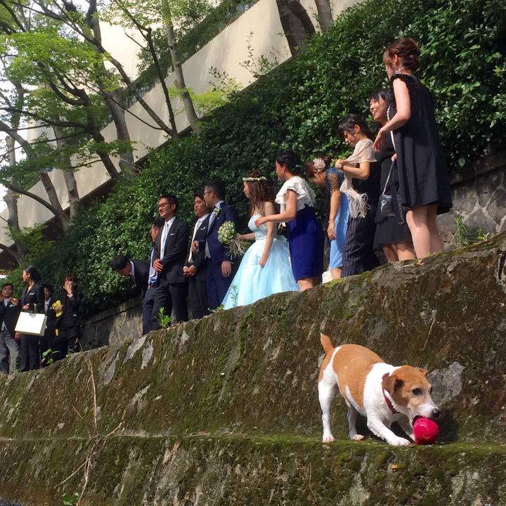 32128907 fc70 460d a996 881b2865528d