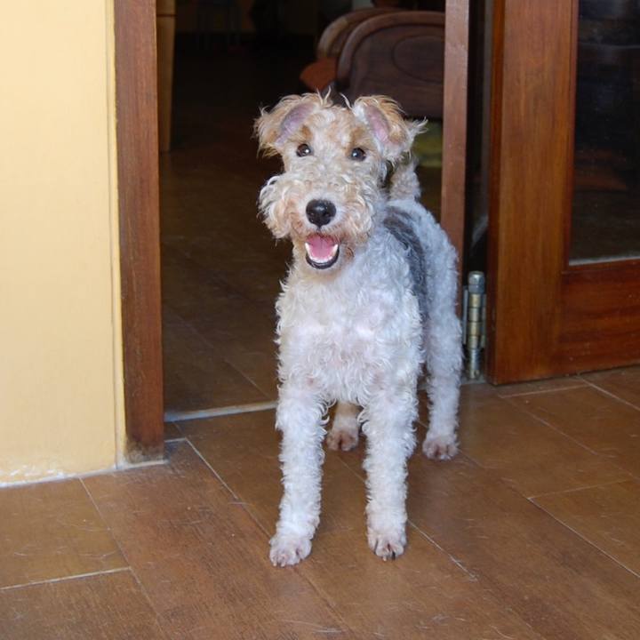 3212e80e dfaa 4d16 b585 ad9f762c44da