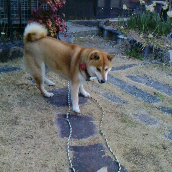 3212fd99 6cb3 4efe 9bdf 685154a6fb9c