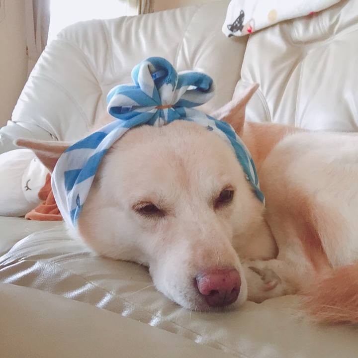 321302e9 19fc 4e6b b44c 7238ae593a33