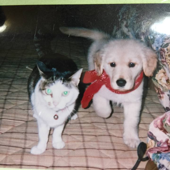 3213cd01 cdb7 44e9 89e0 5294afd4dde9