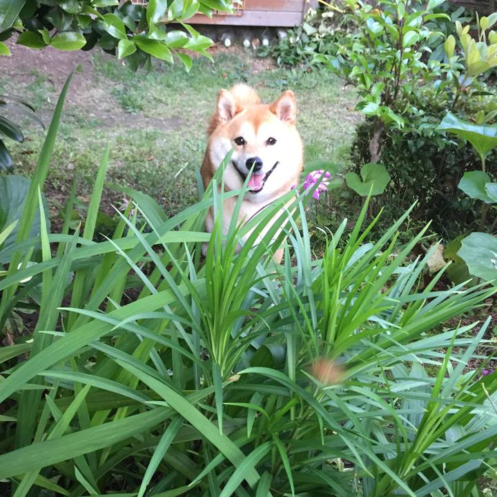 32142fcf 5efd 4478 87e3 514690b642e2