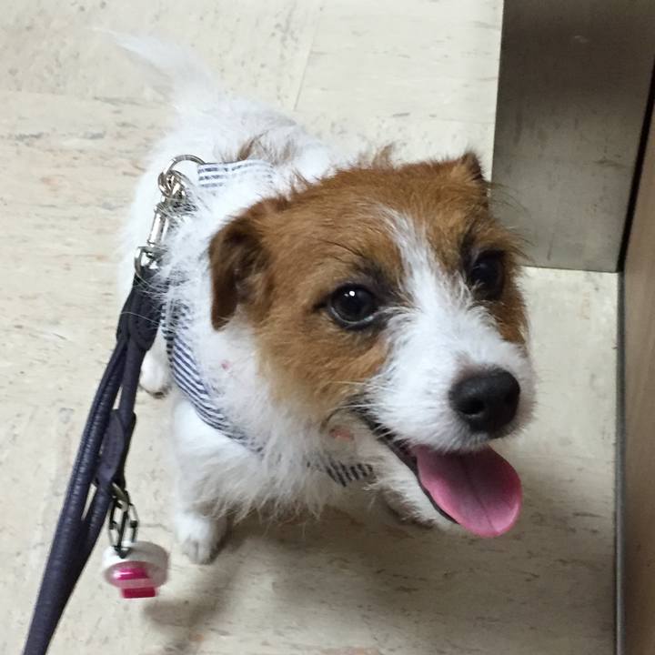 32155a4a 9582 4aae 9366 565313fd0d13