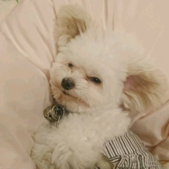 3215daba 887a 4e4c a6b2 56d5772e5e64