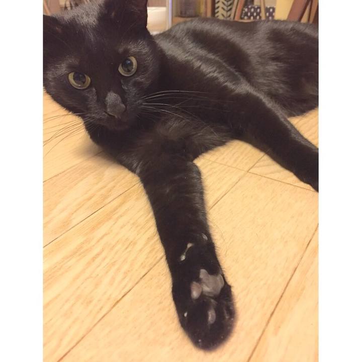 3216d212 5b70 4f6b 85ef 6c875b8fe056