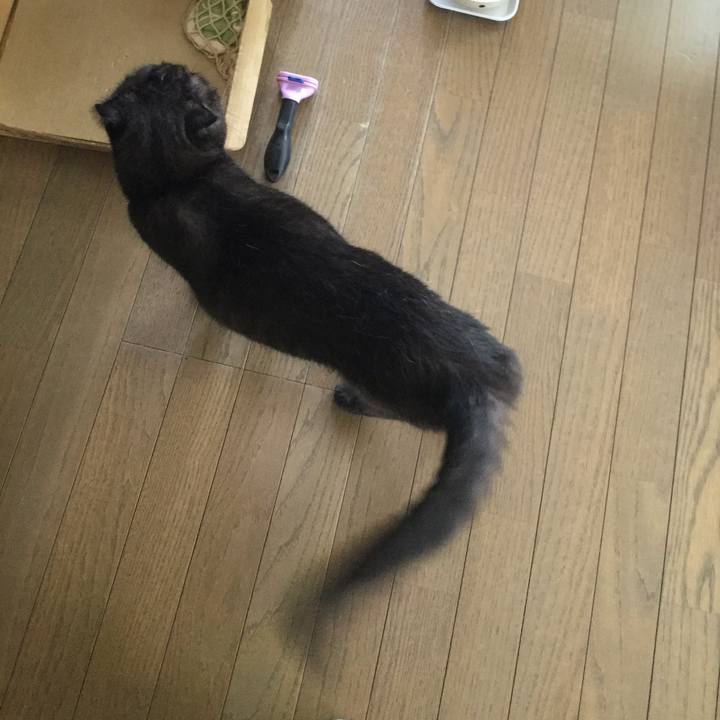 3217d85a fd56 4621 a73c 1600cfbd0136