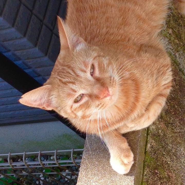 3217e3b3 740a 4409 b043 f57bebefa108