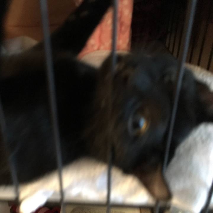 32180773 621c 4fc0 8033 dea40a8c63c8