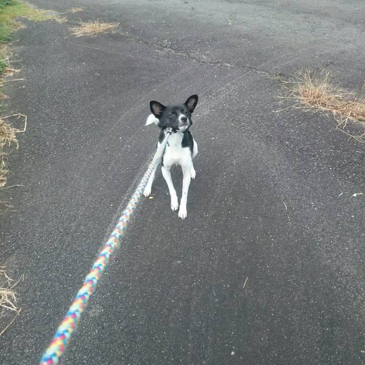 32190fa8 9218 4d4b 8c74 7ae1eb741b46