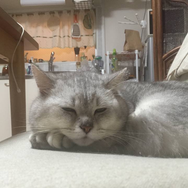 321949ef ac3d 4d80 9d8e 5bc5ed0cd1c9