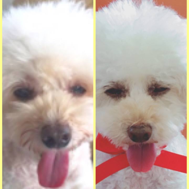 321958b1 4892 464d 922a 6bc040200788