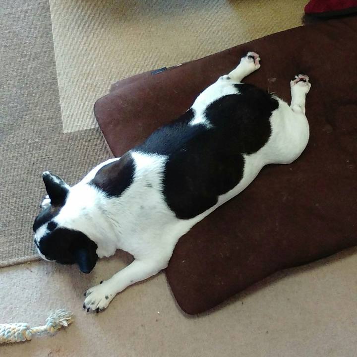 3219749b b894 437d 99e7 f7ed07281e52