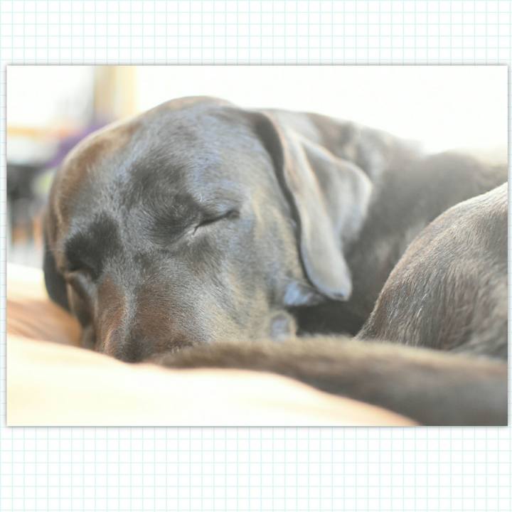 321bcc26 a49e 4c61 bf49 1553f00a9c76