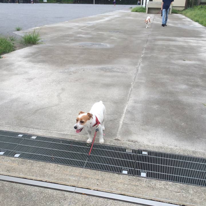 321bdaba 113d 416f a820 f209a99ba73a