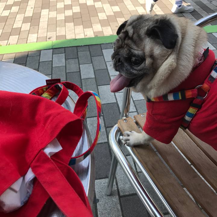 321c17d5 9b9a 4fb0 bbda 30cd77d43801