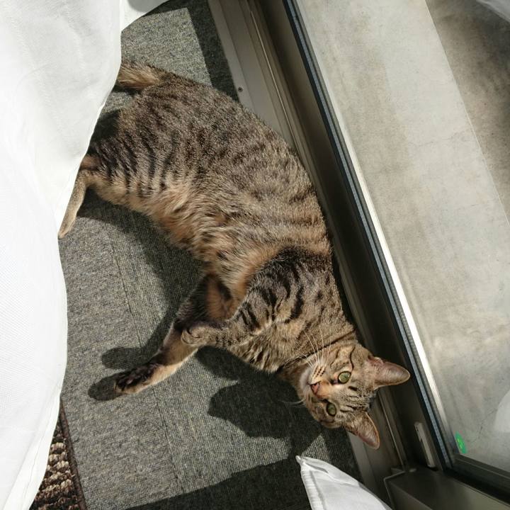 321c7a2f 54c9 4888 a2c1 ef30167f0625