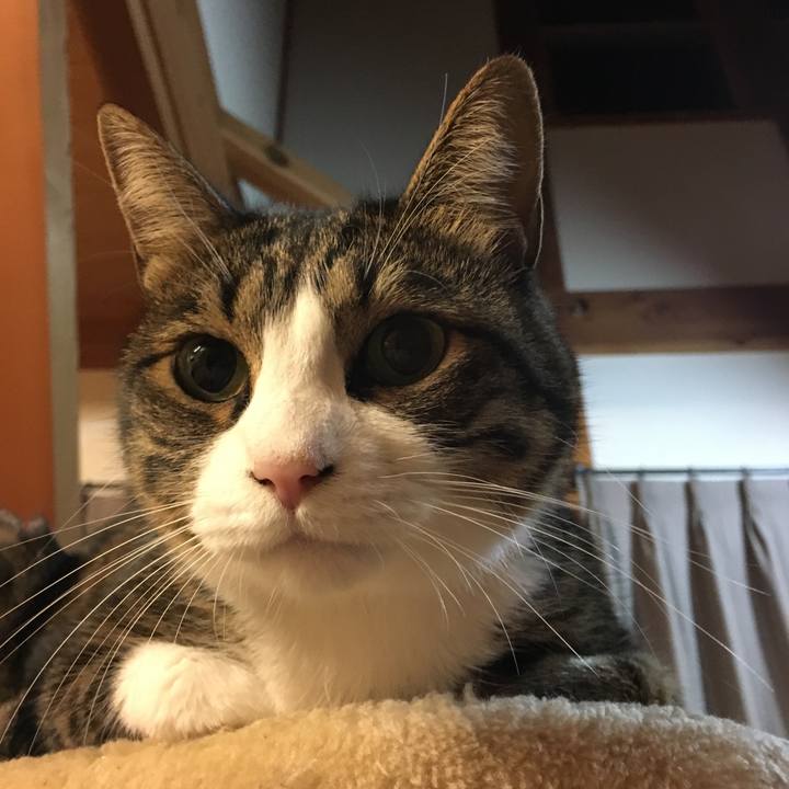 321d3891 ba28 4ee8 8782 74b59f0bfe26