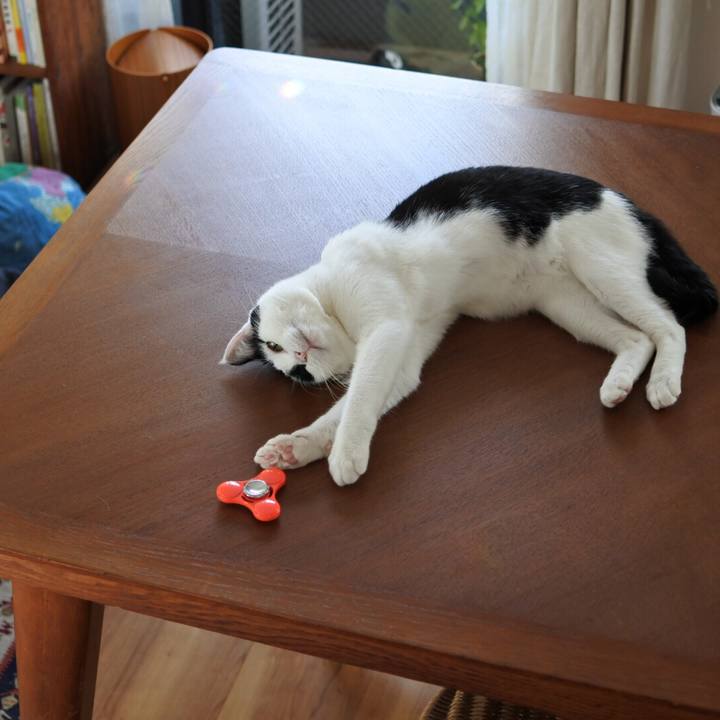 321e1e24 90ee 48bb a60d b6fc7ca42b13