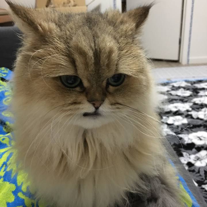 321e21cf 93de 43d1 9051 c64aedd579e4