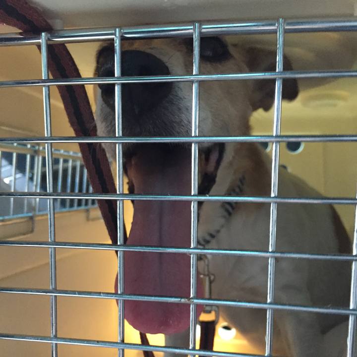 321e400c a327 4514 9fc0 661eb7c7a61b