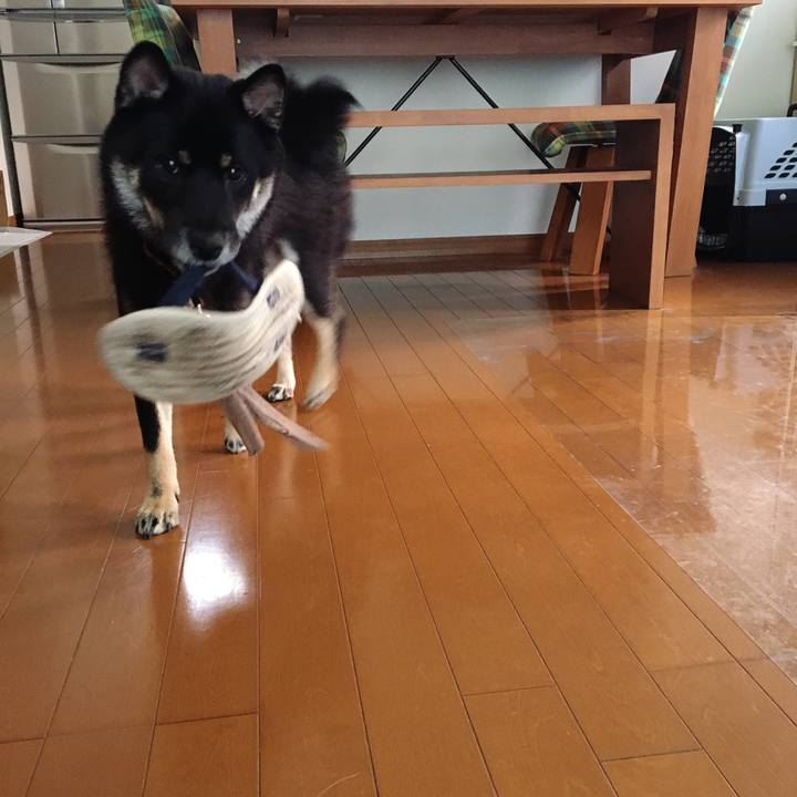 321f315c 597c 4ffd 8976 cfbbdb10a2ca