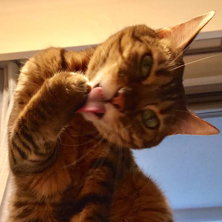 321f443e 1b52 42fd aa5b 387bc56fb234