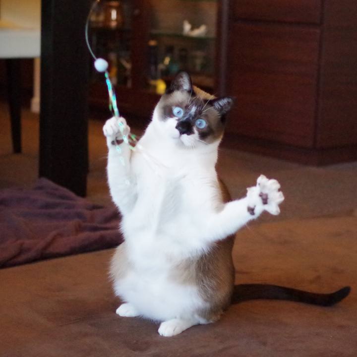 321f7fb9 b8f8 4633 82c7 56167fa42143