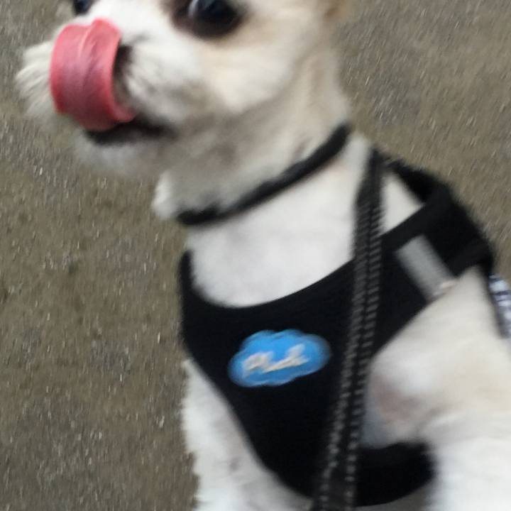 3221201f 7f20 40f5 a36c bb5ae310c57a