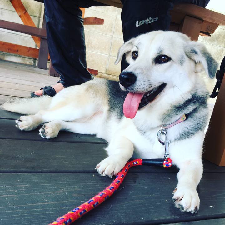 322131c9 7209 45de 9b0e cb4e3f7f723e