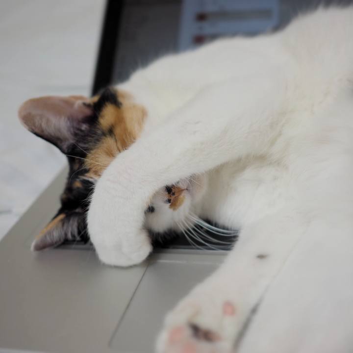 3221773f 5f2f 4954 a31a 873088db63fb