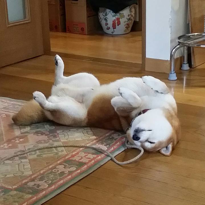 3221b076 d731 40d6 8895 0d29a8cf5c1a