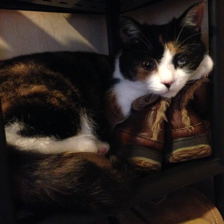 3221cc3b fe03 4f61 b820 019dece4286f