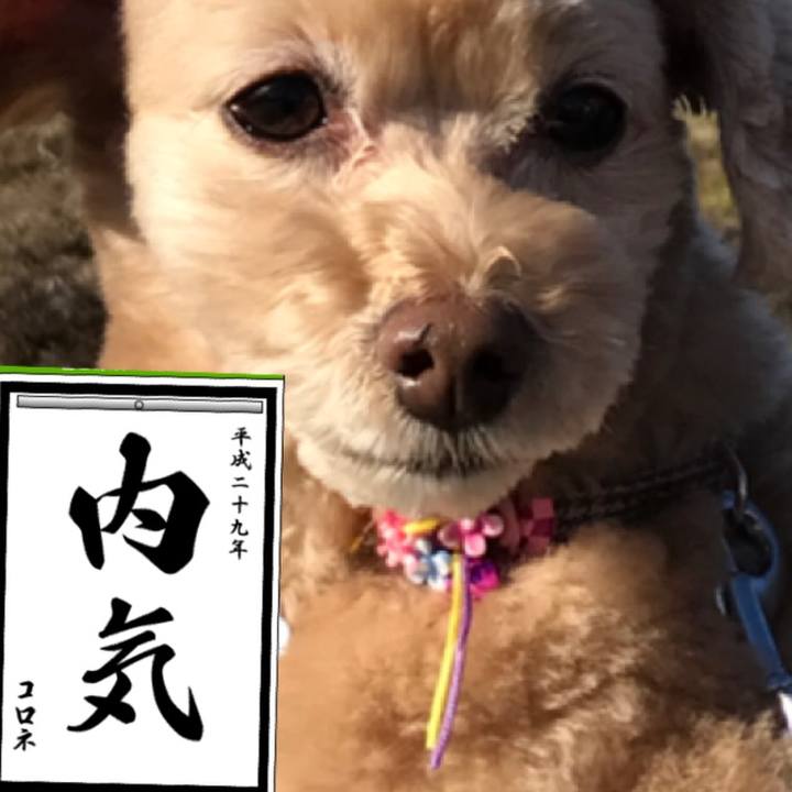 3222cb40 b8b9 4888 9e7a 20f337cb66e7