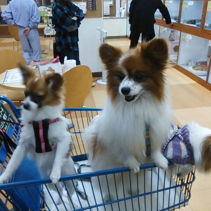 3222d76c 65de 4eff a955 279d88af1c32