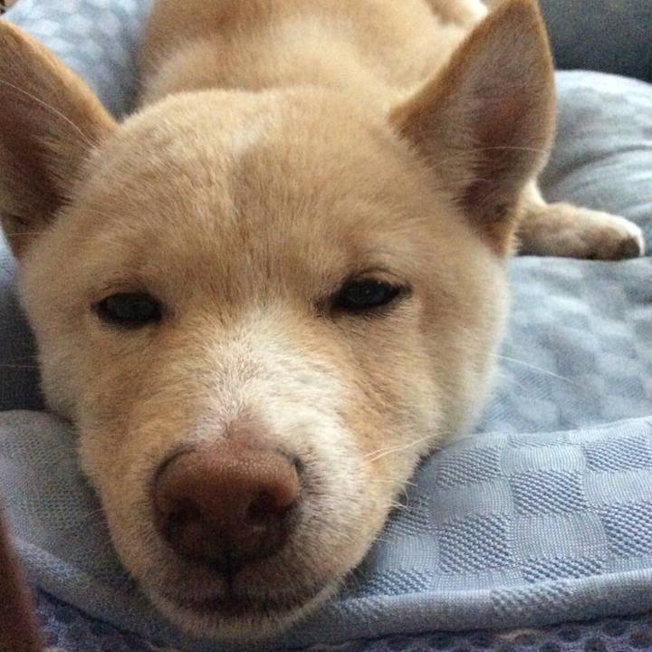 32230f15 1b17 4529 9999 b18ada0029f3