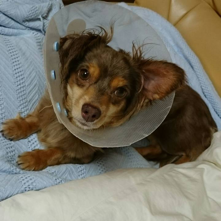 322313f5 c920 42c6 9a18 88b98b7e693b