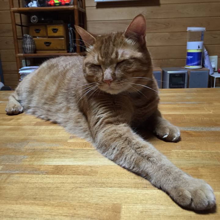 32245c95 8853 4f97 9a11 66f2486a492c