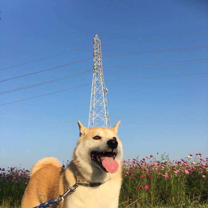 3224ed77 9eb7 417e bd70 96b4505cbfc3