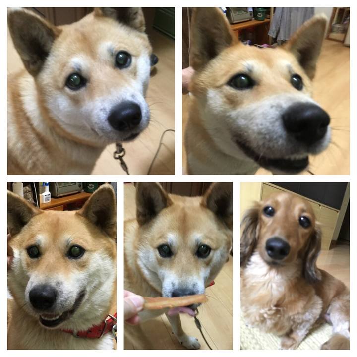 3225152e 29d3 464f b34a a37420d029d1