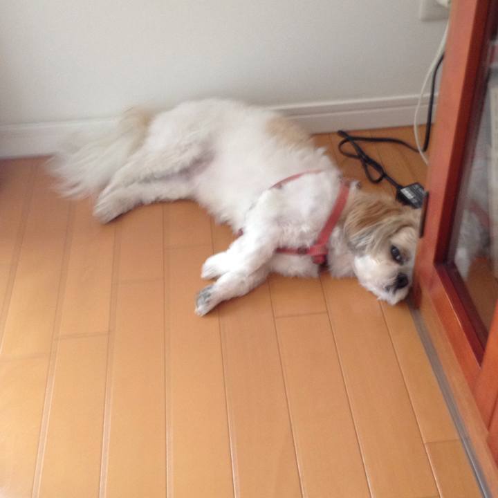 32252d88 d6d9 41b3 b7ea 538573419d53