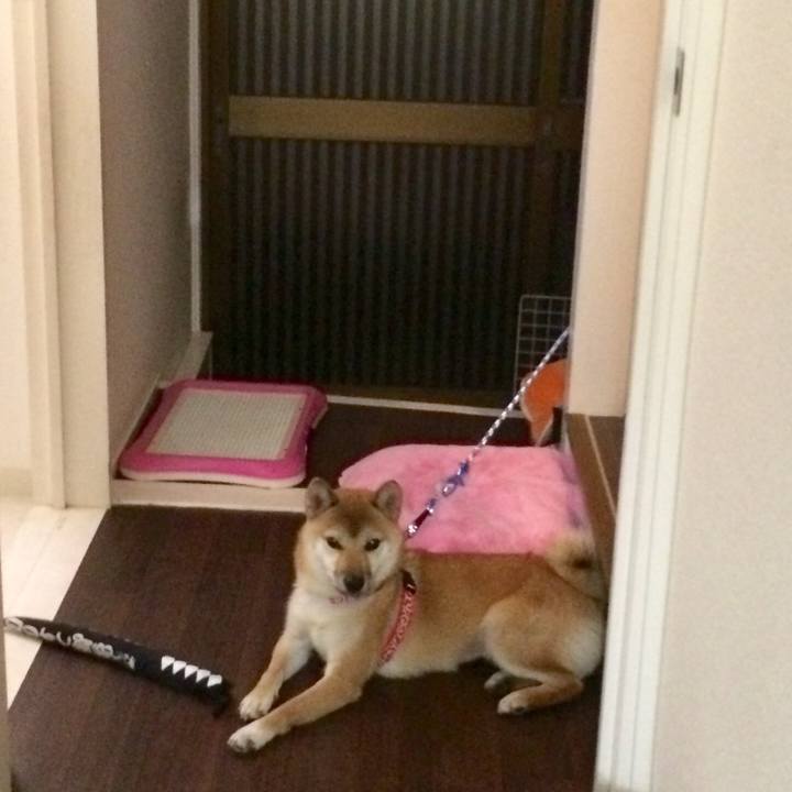 32264644 fbfa 46a8 afd6 9c2213c1eeb0