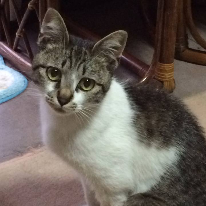 32265ba1 a443 4c37 a9c1 b2a0743668c3