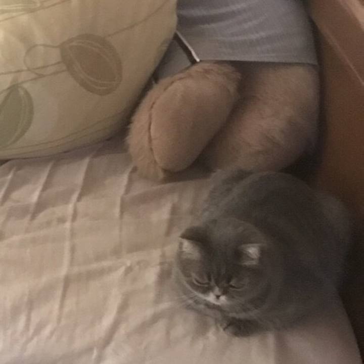 32272bd4 110c 4dda 9e4a da4b6d04fff0