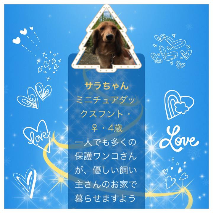 32273b0c b491 4e17 9695 efa0d7698fb4