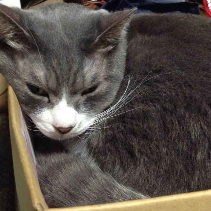 3227579b 085a 4ce8 aa7e f2081c34ada5