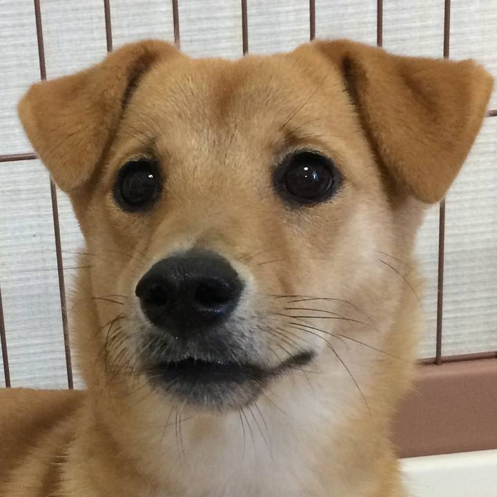 32276565 8506 412d 86b1 34a623296df1